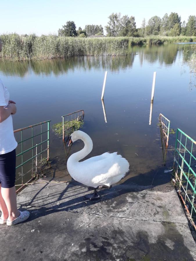 U Wikinga Hotel Zastan Bagian luar foto